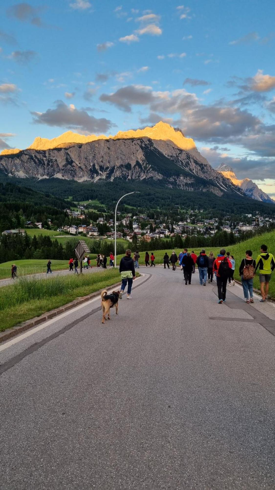 B&B Cristallo Cortina dʼAmpezzo Eksteriør billede