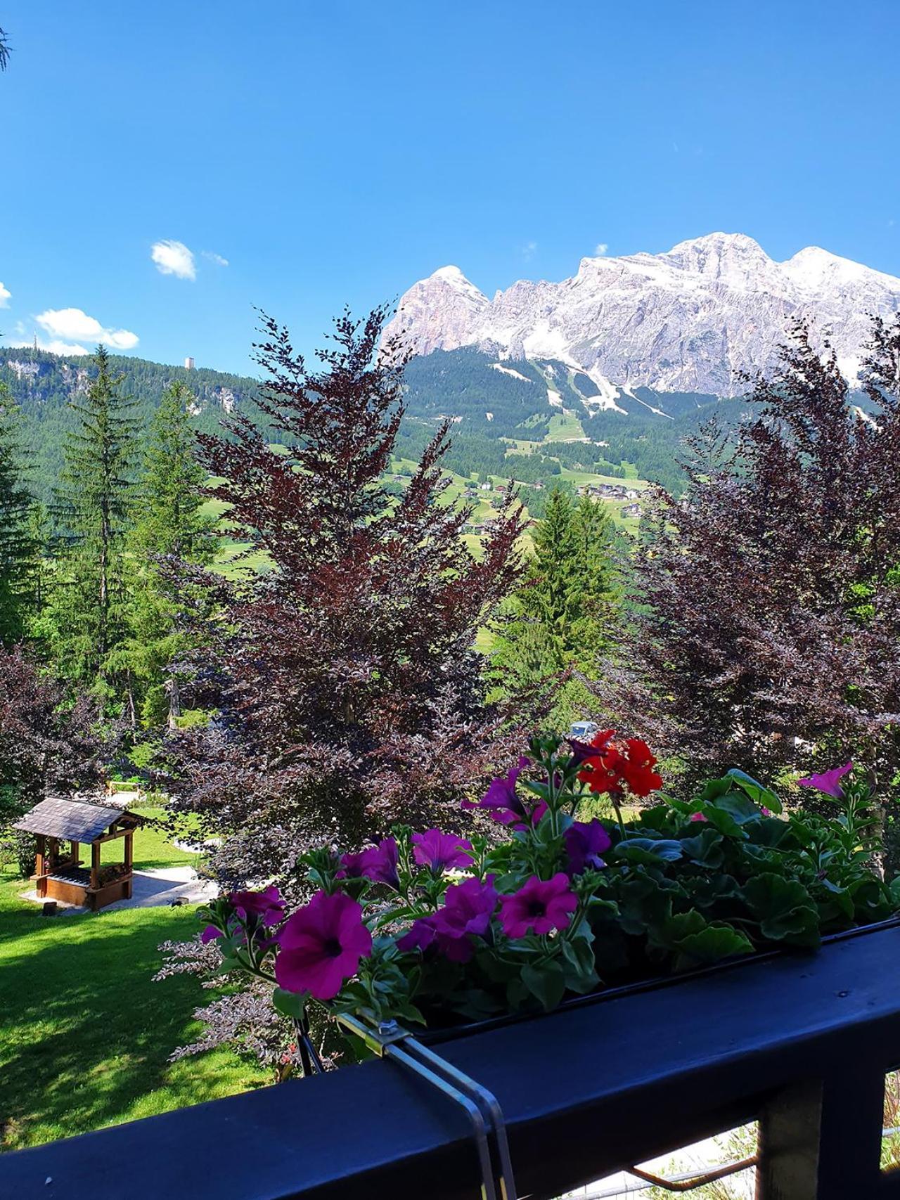 B&B Cristallo Cortina dʼAmpezzo Eksteriør billede